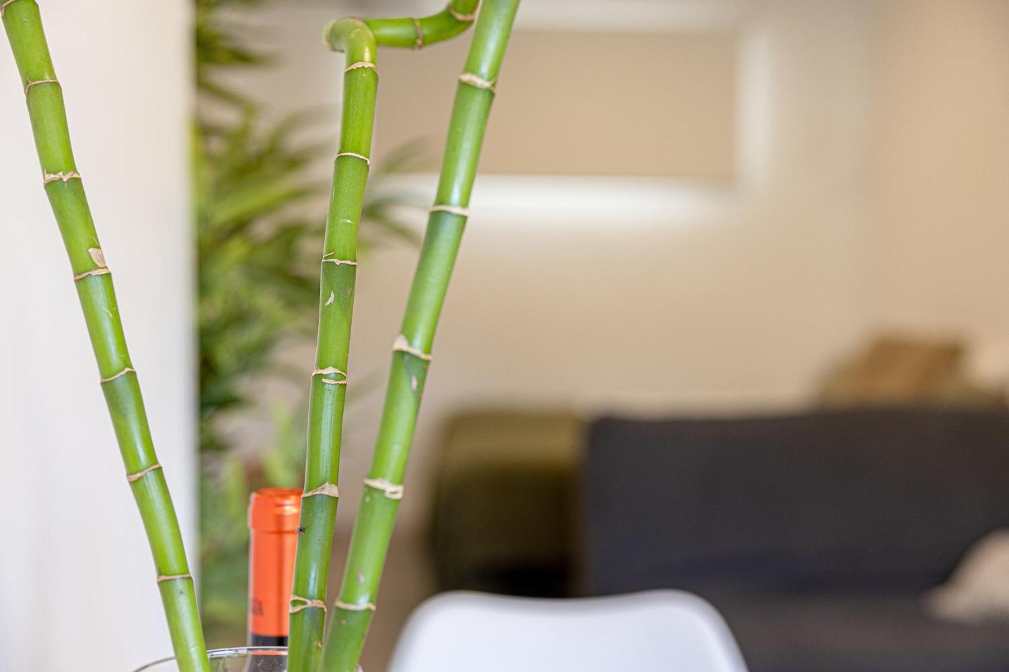Bambu Suites Vegueta Alquiler Por Habitacion Las Palmas de Gran Canaria Exterior foto