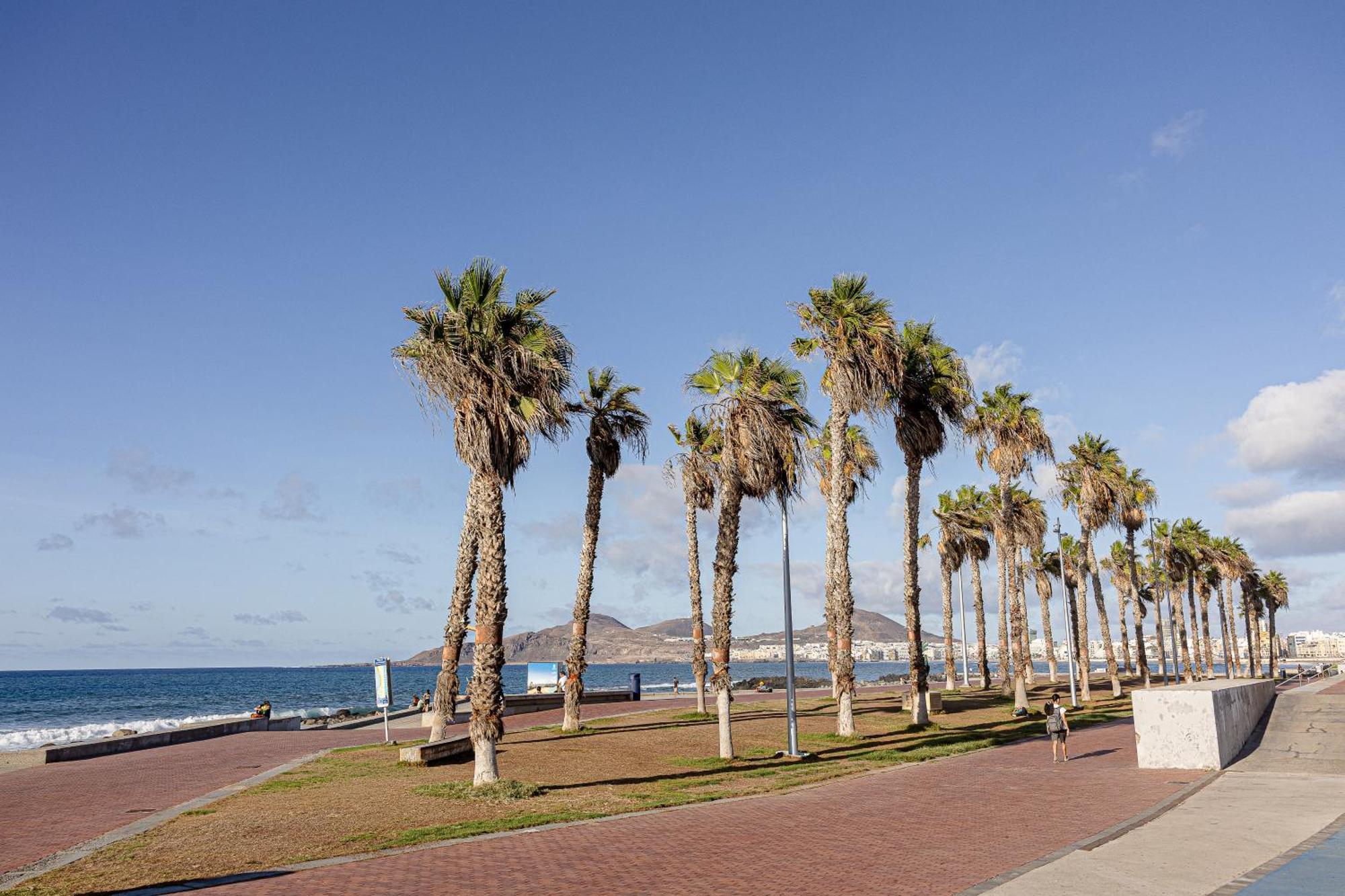 Bambu Suites Vegueta Alquiler Por Habitacion Las Palmas de Gran Canaria Exterior foto